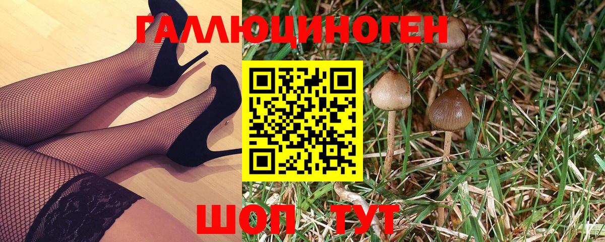 Псилоцибиновые грибы Magic Shrooms Дальнегорск
