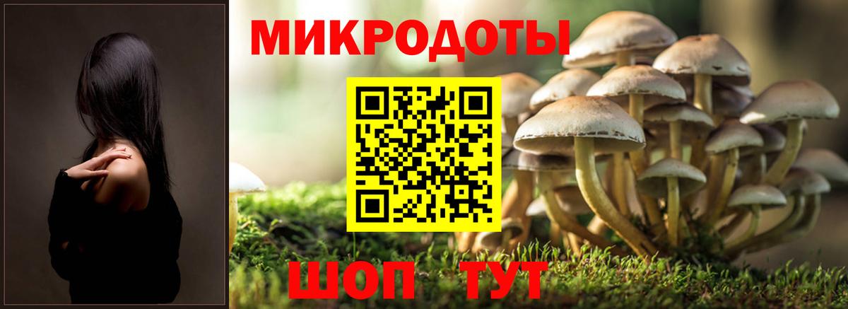 Дальнегорск  Псилоцибиновые грибы прущие грибы  Вход с VPN 